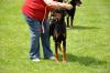 dsc_0316_t1.jpg