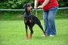 dsc_0371_t1.jpg