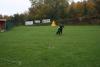 img_8219_t1.jpg