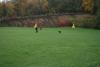 img_8221_t1.jpg