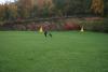 img_8223_t1.jpg