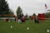 img_8443_t1.jpg
